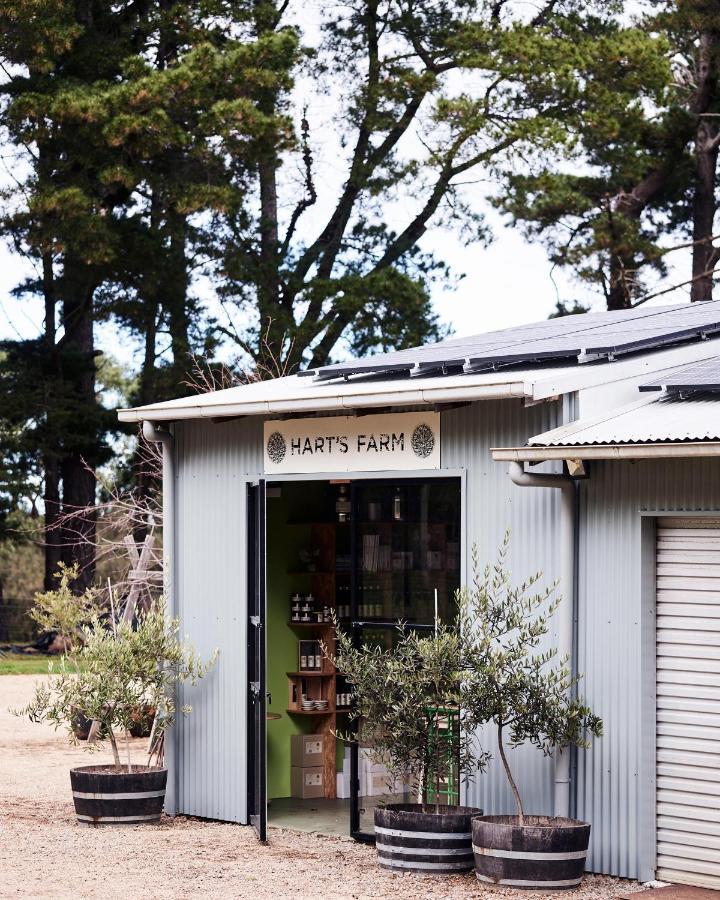 Bed and Breakfast Hart'S Farm Shoreham Экстерьер фото