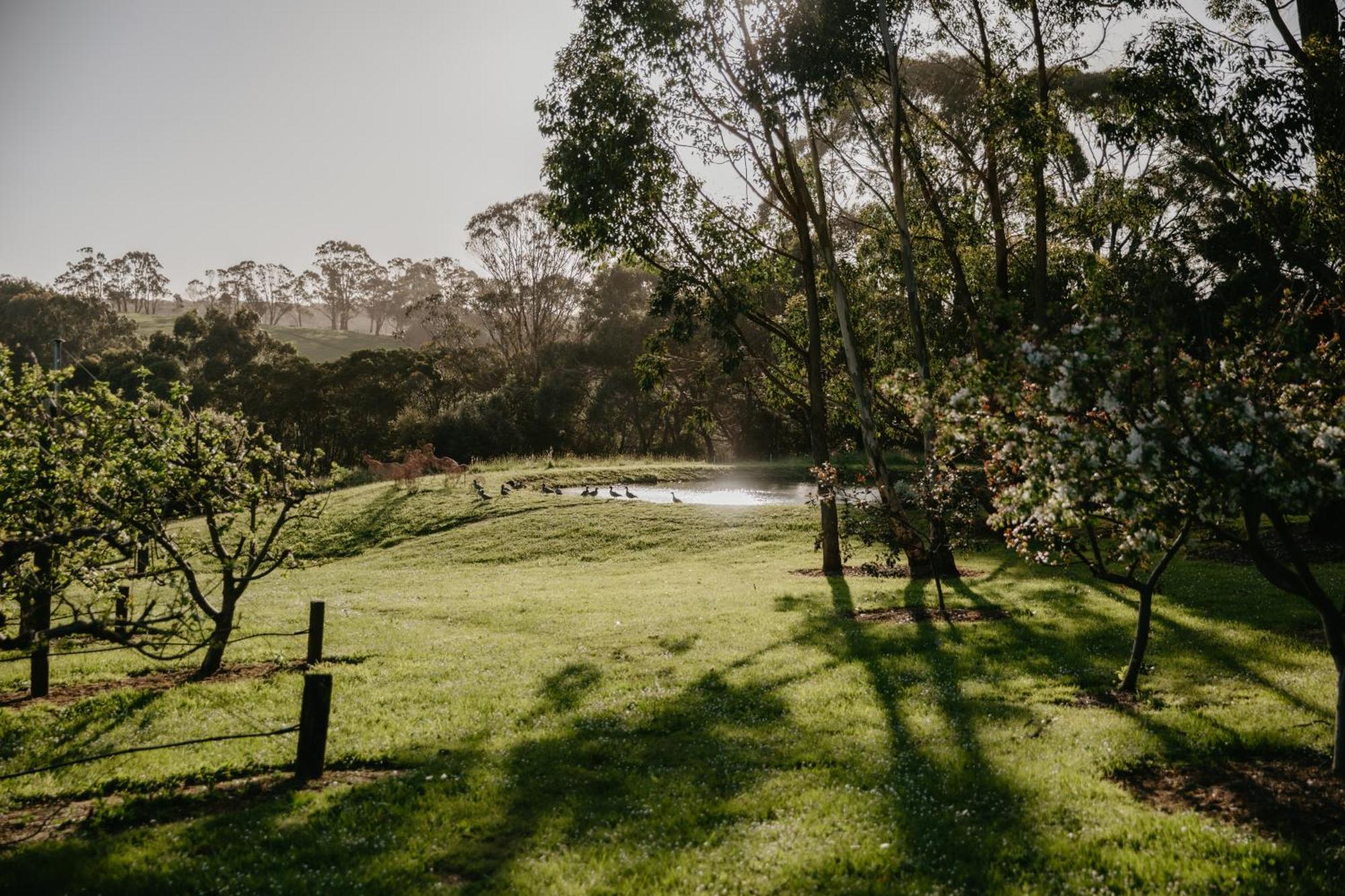 Bed and Breakfast Hart'S Farm Shoreham Экстерьер фото
